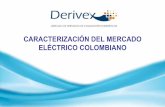 Caracterización del Mercado Eléctrico Colombiano.pdf