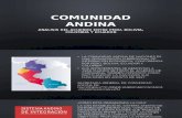 Comunidad Andina - PPT