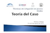 2 Teoría Del Caso. Curso en Técnicas Básicas Para El Litigio Oral Penal Agosto 2015 Pachuca 2