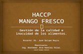 Haccp Mango Fresco