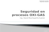 1.- Seguridad en Procesos OXI-GAS-17set