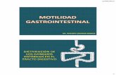 08 - Clase 2 - Motilidad Gastrointestinal 2015-1