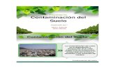 Contaminacion Del Suelo - 2