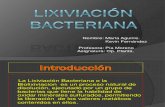 Lixiviación Bacteriana - Copia