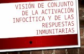 Visión de Conjunto de La Activación Infocítica y de Las Respuestas Inmunitarias