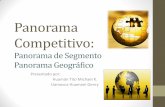 Panorama Competitivo Segmento y Geográfico