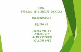 Pruebas Bioquímicas Básicas Del Nitrógeno