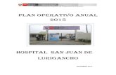 Plan OperaTivo Anual 2015 HSJL