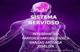Sistema Nervioso - Embriologia