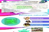 RECURSOS NATURALES (desarrollo sustentable)