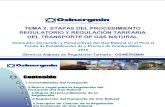 Tema 2. Etapas del Proc Regulatorio y Regulación Tarifaria Transporte GN.pdf