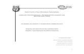 Manual de Diseño y Estabilidad v-2013-EnE-01-1