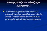 Expresion Genetica
