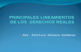 PRINCIPALES LINEAMIENTOS DE LOS  DERECHOS REALES.ppt