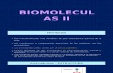 c2 Biomoleculas II Proteinas Enzimas Acnucl