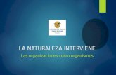 La Naturaleza Interviene _ Presentación