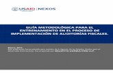 Guia Metodologica Para El Entrenamiento en El Proceso de Implementacion de Auditorias Fiscales