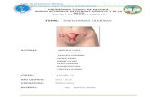 amenorreas uterinas