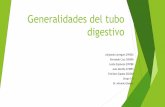 Generalidades Del Tubo Digestivo