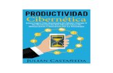 Castañeda Julian - Productividad Cibernetica