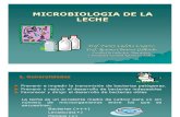 Microbiologia de Leche