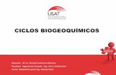 CICLOS BIOGEOQUIMICOS 1.pdf