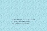 Anatomía y Fisiología Aparato Fonador (1)