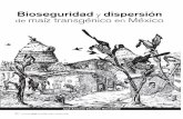 Bioseguridad y dispersión de maíz transgénico en México 2009