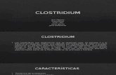 Clostridium Spp