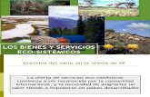Servicios Ecosistemicos