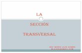 Secciones Transversales 15-2