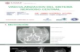 Vascularizacion s.n.c. -2015