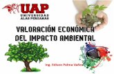 Valoracion Economica Ambiental Uap
