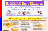 4 Los Tlc Del Peru en El Mundo - Analisis II 2013-3
