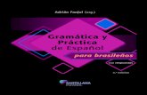 Gramatica y Practica del Español. Contenidos