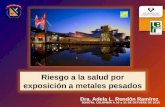 Metales Pesados-Dra a Rendón-Colombia 2015