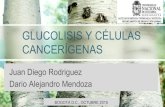 Glucolisis y Células Cancerígenas