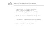 Fronteras de eficiencia tesis doctoral.pdf