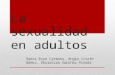La Sexualidad en Adultos