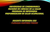 UNIVERSIDAD DE CUNDINAMARCA FACULTAD DE CIENCIAS DE LA SALUD PROGRAMA DE ENFERMERIA PROFUNDIZACION EN SALUD OCUPACIONAL DOCENTE ENFERMERA ESO FLORALBA.