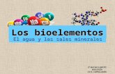 Los bioelementos El agua y las sales minerales 2º BACHILLERATO BIOLOGÍA I.E.S. CAPELLANÍA.