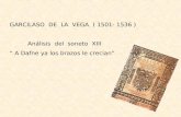 GARCILASO DE LA VEGA ( 1501- 1536 ) Análisis del soneto XIII “ A Dafne ya los brazos le crecian”