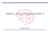 AMSAT -CE Fundación de Desarrollo de Satélites de Aficionados a las Radio Comunicaciones AMSAT - CE y el Proyecto CESAR -1.