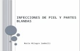 INFECCIONES DE PIEL Y PARTES BLANDAS Maria Milagro Zambelli.