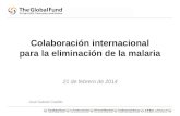 Colaboración internacional para la eliminación de la malaria 21 de febrero de 2014 José Gabriel Castillo.