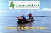 PESCA Y ACUICULTURA. Ministerio de Agricultuta y Desarrollo Rural  Formular políticas, planes y programas agropecuarios, pesqueros y rurales, fortaleciendo.