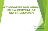 ACTIVIDADES POR AREAS EN LA CENTRAL DE ESTERILIZACION SANDRA SOLANO ENFERMERA JEFE.