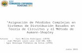 “Asignación de Pérdidas Complejas en Sistemas de Distribución Basados en Teoría de Circuitos y el Método de Aumann-Shapley” Autores: Yuri Molina Rodríguez.