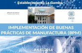 IMPLEMENTACIÓN DE BUENAS PRÁCTICAS DE MANUFACTURA (BPM) Establecimiento La Gamba JULIO 2014.
