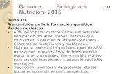 Tema 10 Transmisión de la información genética. Ácidos nucleicos. ADN, principales características estructurales. Replicación del ADN: etapas, enzimas.